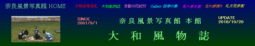 hb001001.jpg