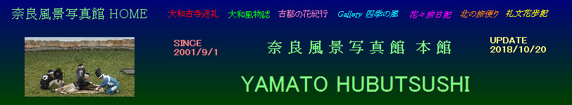 hb002001.jpg