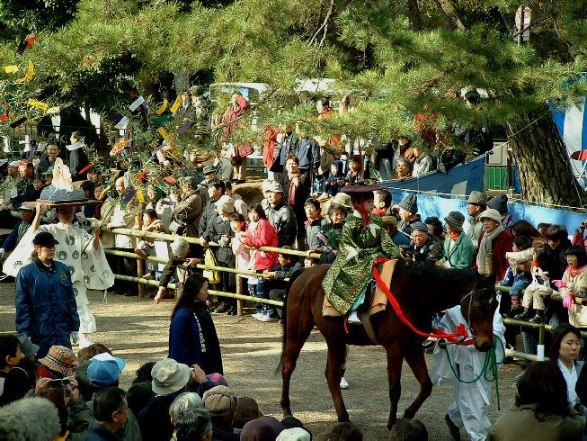 hb172006.jpg