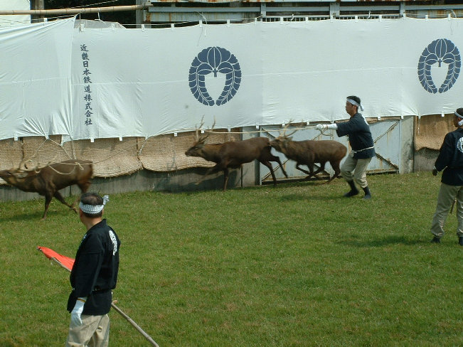hb229005.jpg