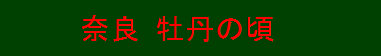 hk002001.jpg