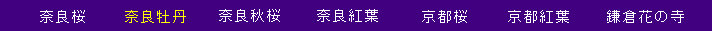 hk002002.jpg