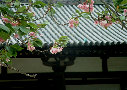 hk002006.jpg
