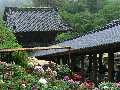 hk002012.jpg