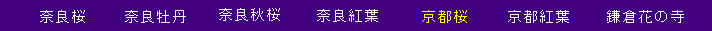 hk049002.jpg