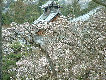 hk059006.jpg