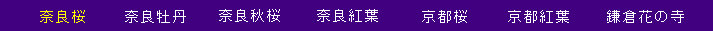 hk068003.jpg
