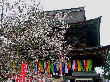 hk068004.jpg