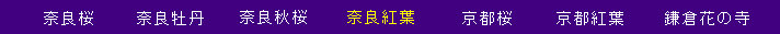 hk185002.jpg
