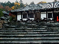 hk185007.jpg