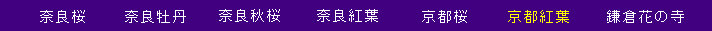 hk238002.jpg
