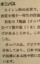 ht034005.jpg