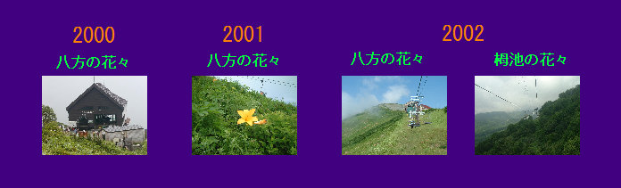 ht155003.jpg