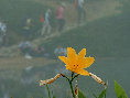 ht190004.jpg