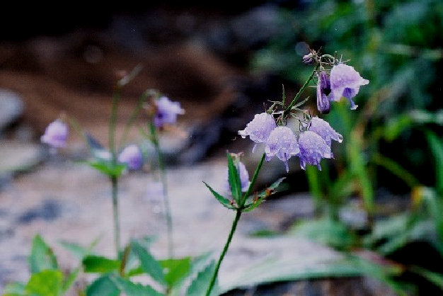 ht201005.jpg