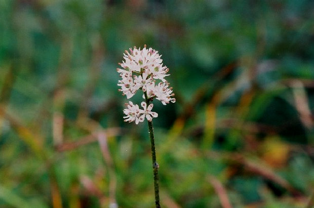 ht204005.jpg