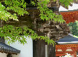 kj012012.jpg