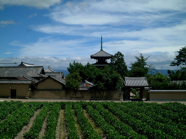 kj153004.jpg