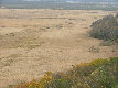 kt156010.jpg