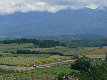 kt202007.jpg