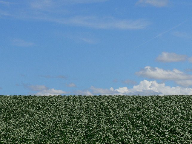 kt204002.jpg