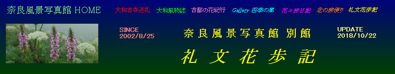 rb001002.jpg