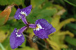 rb048004.jpg