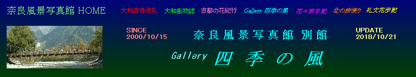 sk001002.jpg
