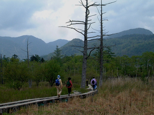 sk069003.jpg